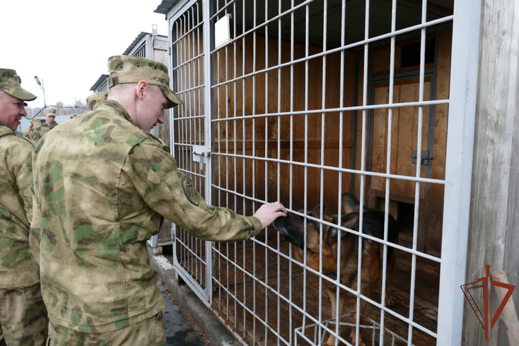 Сбор начальников кинологических служб подразделений Сибирского округа Росгвардии завершился в Омске