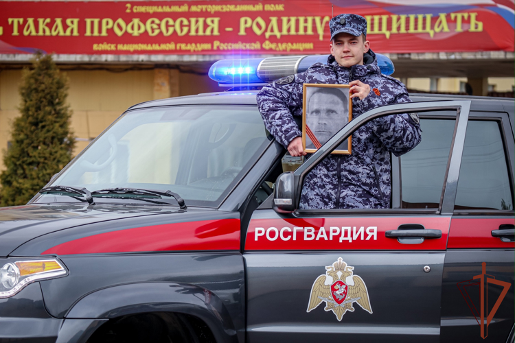 В Северо-Западном округе Росгвардии продолжается акция «Бессмертный автополк»