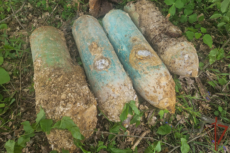 В Крымском районе взрывотехники Росгвардии уничтожили арсенал боеприпасов периода Великой Отечественной войны 