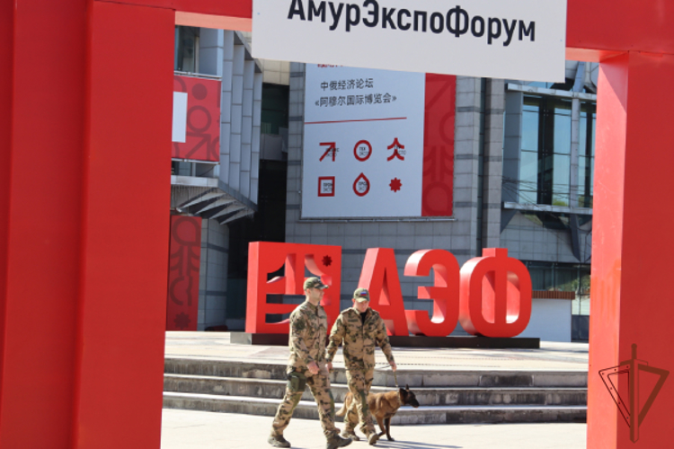 Росгвардия обеспечивает безопасность проведения «Амурэкспофорума» в Приамурье