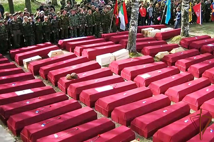 Во время поисковой экспедиции сотрудники Росгвардии с Ямала обнаружили редкую находку (видео)