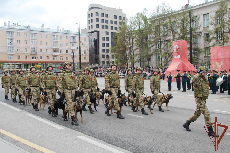 ВОЕННОСЛУЖАЩИЕ ПЕРМСКОГО ВОЕННОГО ИНСТИТУТА ВОЙСК НАЦИОНАЛЬНОЙ ГВАРДИИ РОССИЙСКОЙ ФЕДЕРАЦИИ ПРИНЯЛИ УЧАСТИЕ В ПАРАДЕ ПОБЕДЫ НА ОКТЯБРЬСКОЙ ПЛОЩАДИ ГОРОДА ПЕРМИ.