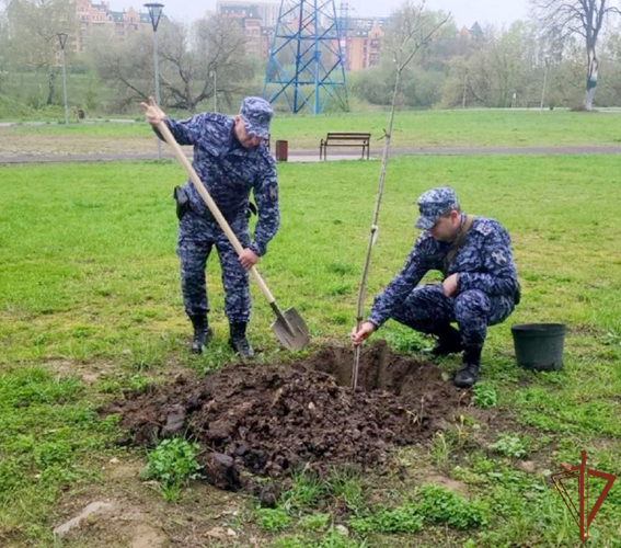 Патриотические мероприятия с участием Росгвардии прошли в Московской области
