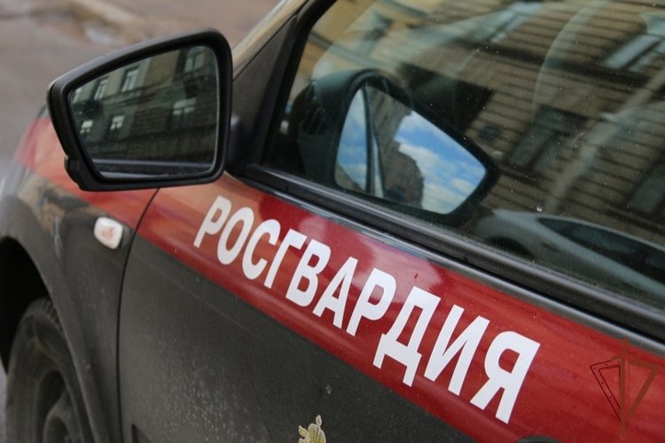 Сотрудники Росгвардии задержали в Москве вооруженного топором и ножом неадекватного мужчину (видео)