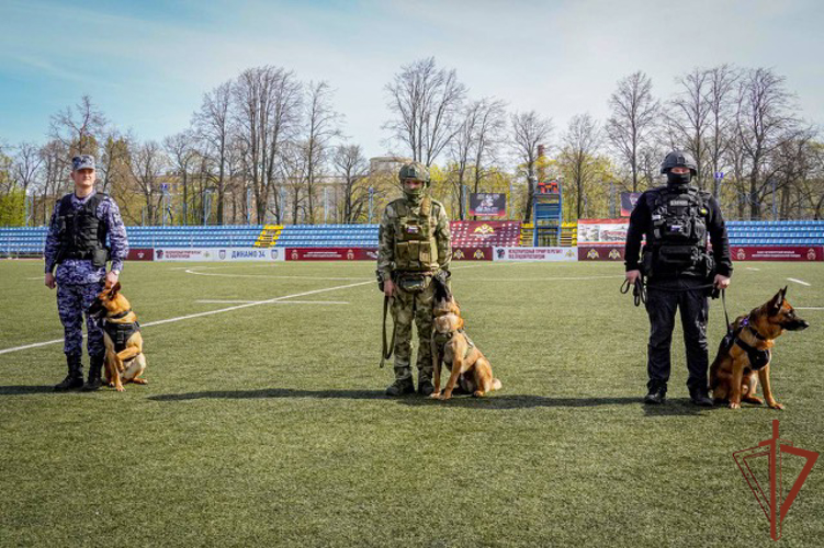 В Санкт-Петербурге стартовал международный турнир по регби-7 и тэг-регби