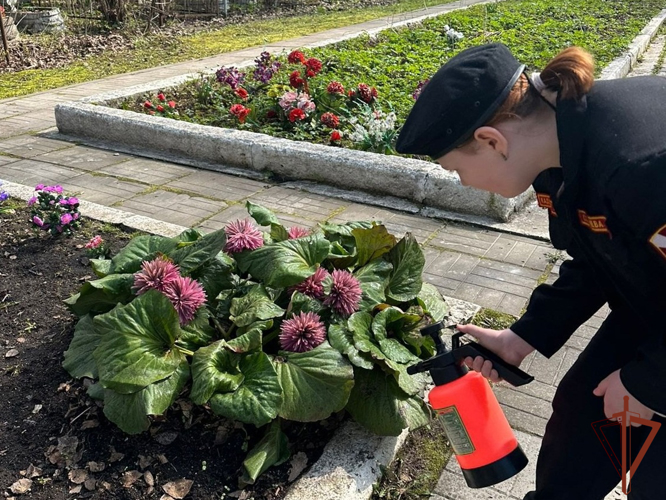 Росгвардейцы в Северо-Западном округе благоустроили братские захоронения советских воинов  