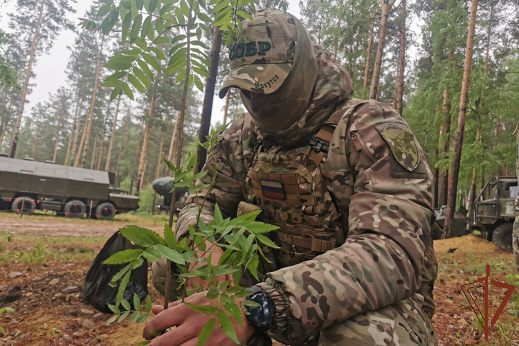 Росгвардейцы приняли участие в высадке «Аллеи защитников Отечества» в Приангарье