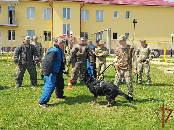 В Росгвардии состоялся учебно-методический сбор кинологов ведомства (видео)