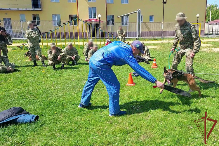 В Росгвардии состоялся учебно-методический сбор кинологов ведомства (видео)