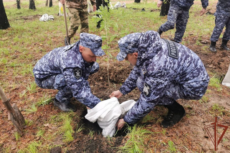 Росгвардейцы приняли участие в высадке «Аллеи защитников Отечества» в Приангарье