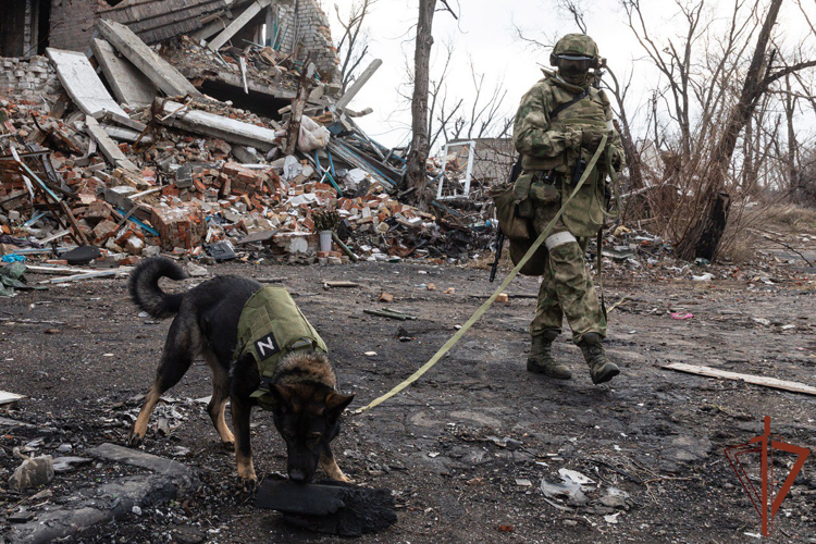 В Росгвардии возрождают традиции ведомственной кинологии 