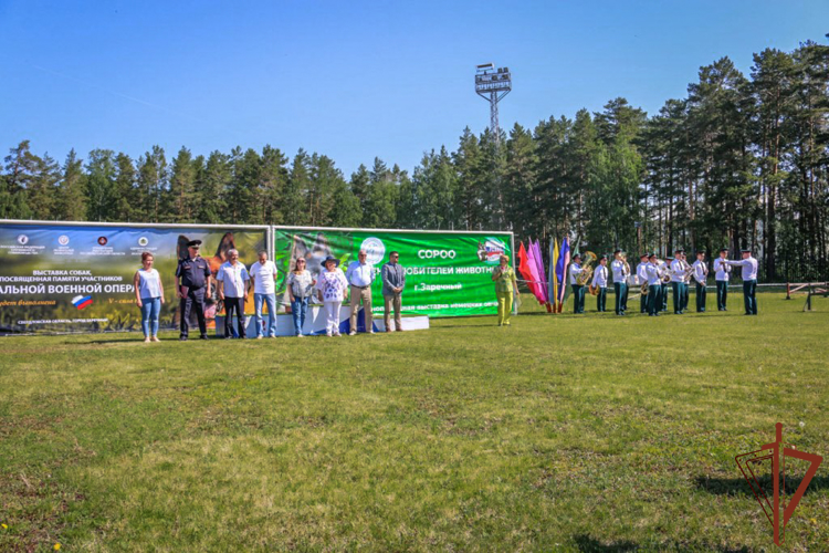 Выставка породистых собак памяти кинолога Росгвардии состоялась на Среднем Урале (видео)