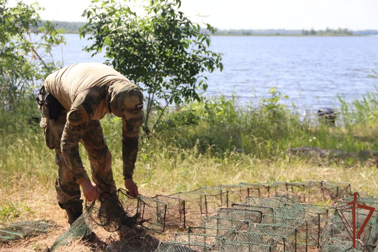 Росгвардейцы вернули в естественную среду обитания около 4 тысяч раков (видео)