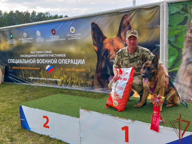 Выставка породистых собак памяти кинолога Росгвардии состоялась на Среднем Урале (видео)
