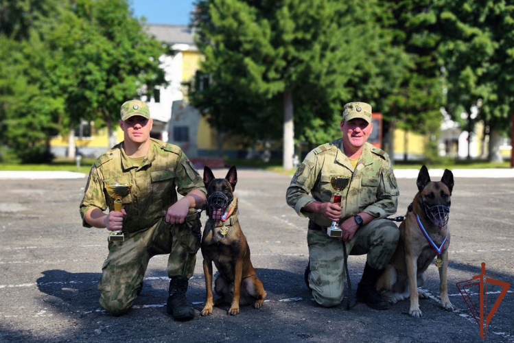 Завершился чемпионат по служебному многоборью кинологов Сибирского округа Росгвардии в Томской области