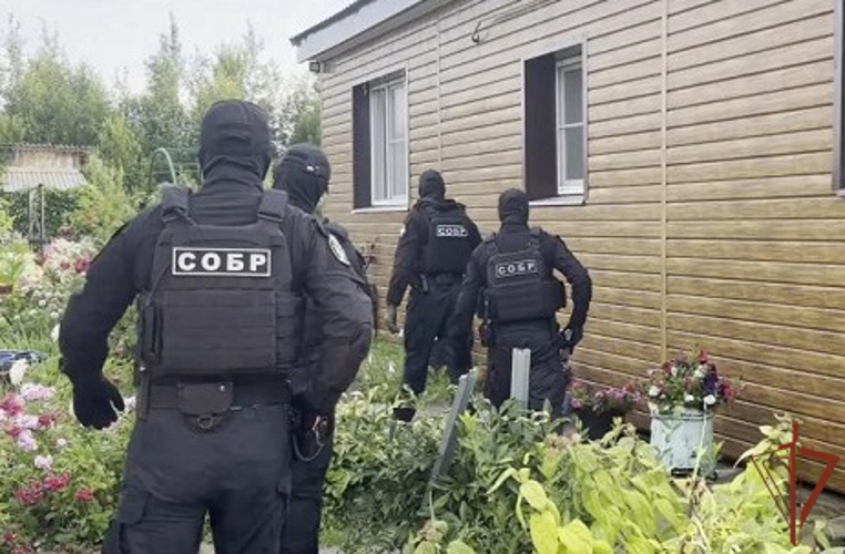 В Ивановской области сотрудники Росгвардии пресекли деятельность «черных лесорубов» 
