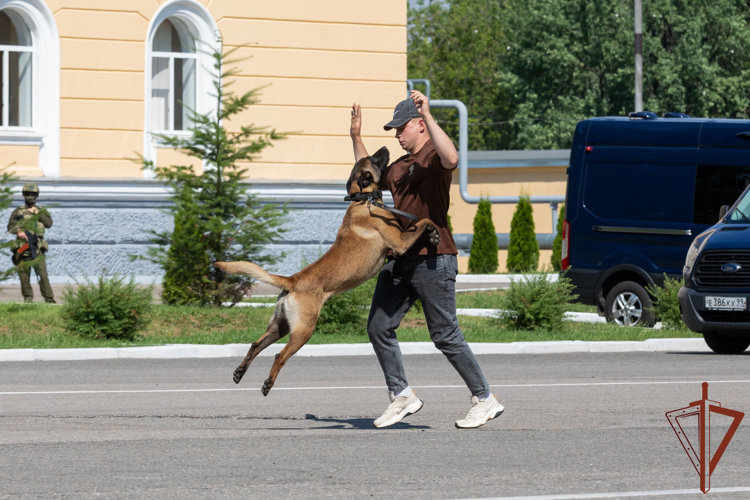 Генерал-полковник Алексей Воробьев вручил награды кинологам Росгвардии за выполнение служебно-боевых задач (видео)