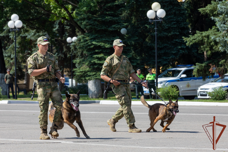 Генерал-полковник Алексей Воробьев вручил награды кинологам Росгвардии за выполнение служебно-боевых задач (видео)
