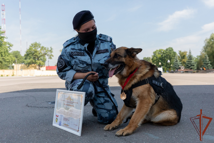 Генерал-полковник Алексей Воробьев вручил награды кинологам Росгвардии за выполнение служебно-боевых задач (видео)