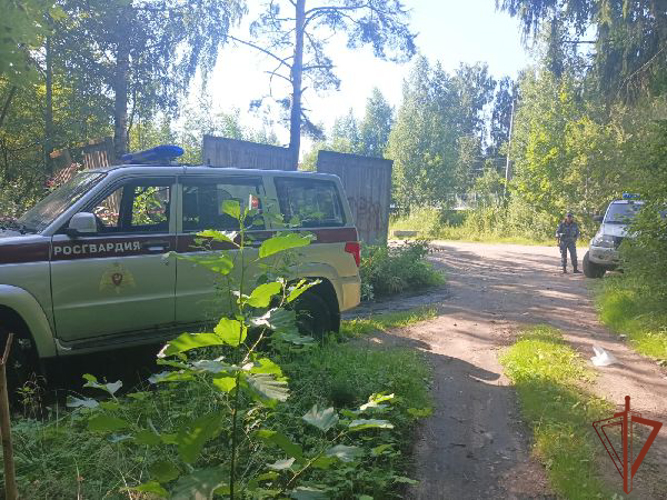 В Ленинградской области сотрудники Росгвардии обеспечили охрану места обнаружения и обследовали боеприпасы времён войны