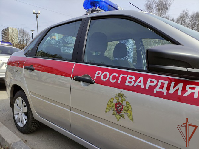 Патруль Росгвардии разыскал в Москве пропавшего юношу (видео)
