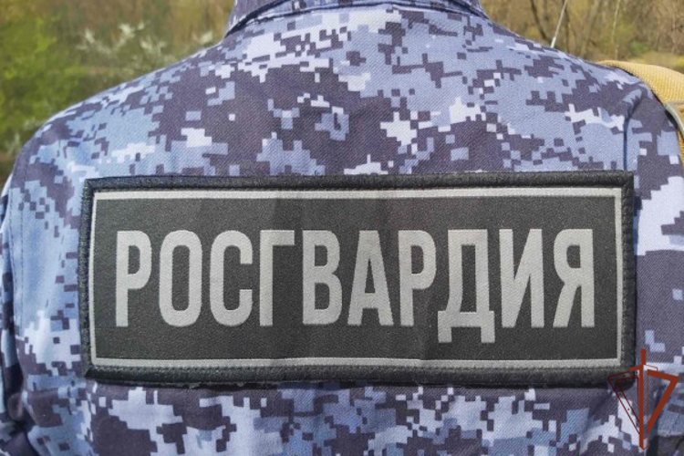 Росгвардейцы в Москве пришли на помощь пострадавшему в ДТП мотоциклисту (видео)