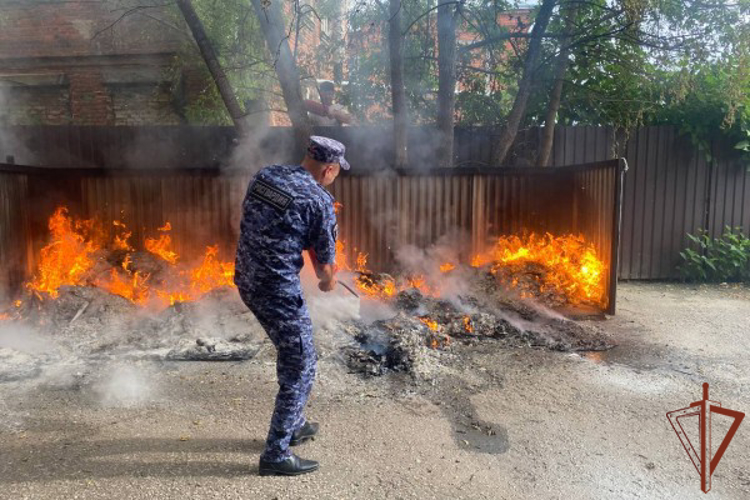 Благодаря росгвардейцам возникшее в одном из дворов Московской области возгорание было оперативно потушено 