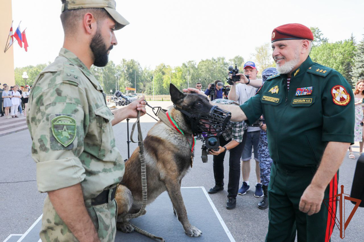Генерал-полковник Алексей Воробьев вручил награды кинологам Росгвардии за выполнение служебно-боевых задач (видео)
