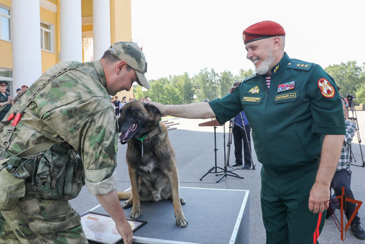 Генерал-полковник Алексей Воробьев вручил награды кинологам Росгвардии за выполнение служебно-боевых задач (видео)