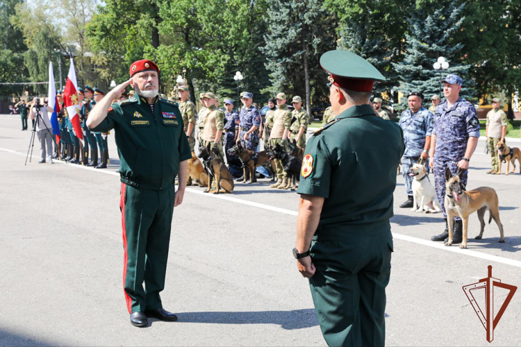 Генерал-полковник Алексей Воробьев вручил награды кинологам Росгвардии за выполнение служебно-боевых задач (видео)