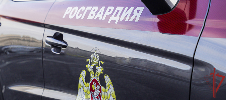 Росгвардейцы оказали помощь получившему травму ребенку в Москве (видео)