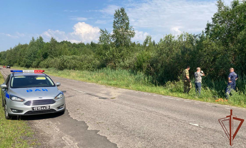Военнослужащие Росгвардии в Подмосковье оказали помощь пострадавшим в ДТП (видео)