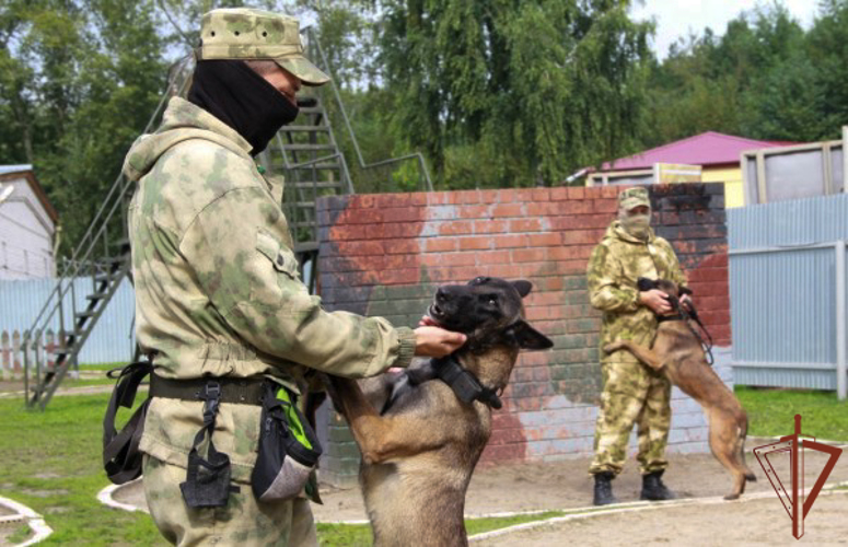 Пресс-тур для тюменских журналистов прошёл в кинологическом центре Уральского округа Росгвардии (видео)