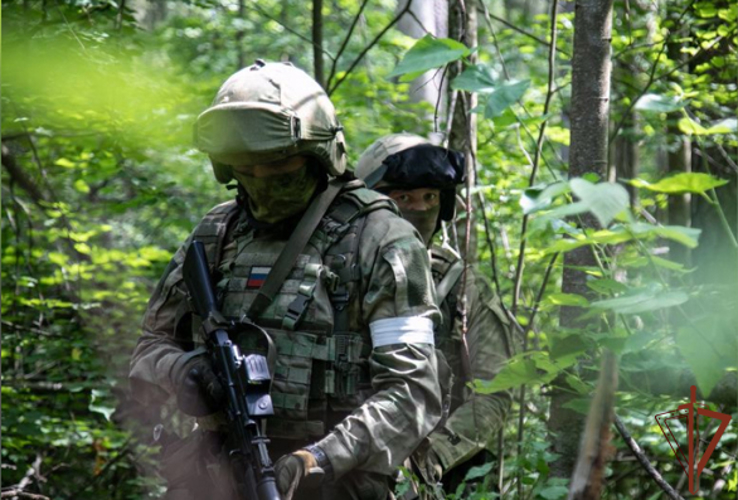 Разведчики Росгвардии обнаружили в ДНР полевой склад ВСУ с вооружением западного производства 