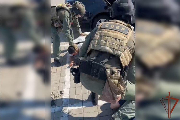 При силовой поддержке СОБР Росгвардии в Ленинградской области задержаны подозреваемые в даче взятки (видео)