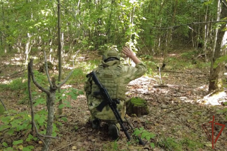 Сапёры Росгвардии уничтожили схрон ВСУ с противопехотными минами в Харьковской области (видео)
