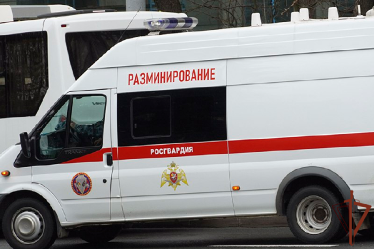 Сотрудники ОМОН Росгвардии в Санкт-Петербурге обследовали боеприпасы времен Великой Отечественной войны