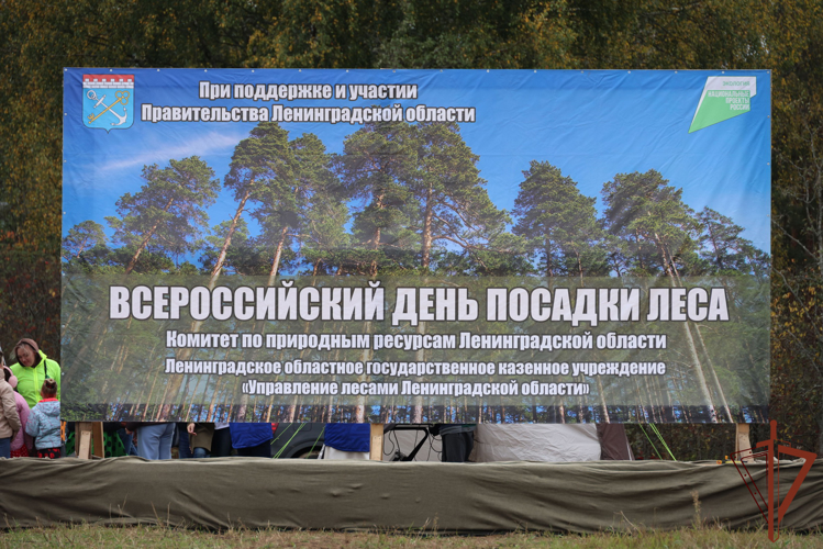 В Ленинградской области сотрудники Росгвардии приняли участие во всероссийской экологической акции «Сохраним лес»