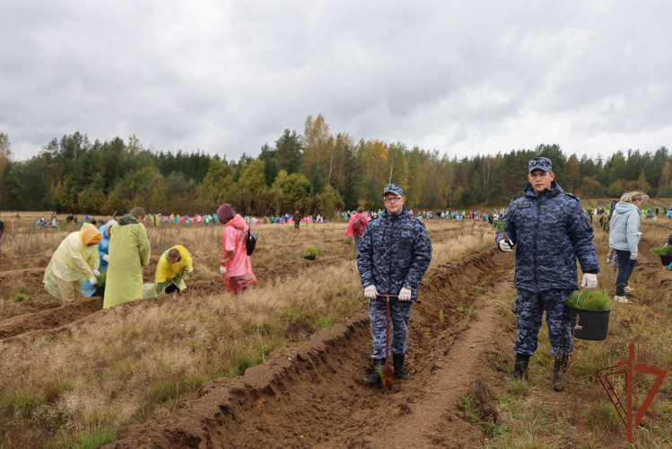В Ленинградской области сотрудники Росгвардии приняли участие во всероссийской экологической акции «Сохраним лес»