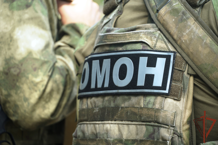 При силовой поддержке спецназа Росгвардии в Ростове-на-Дону задержан подозреваемый в мошенничестве в особо крупном размере