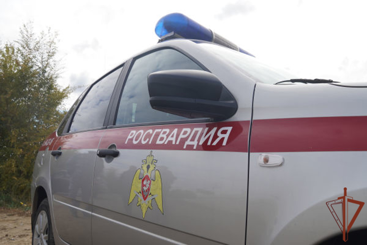 Росгвардейцы сопроводили до медучреждения Саратова пострадавшего во время хозяйственных работ (видео)