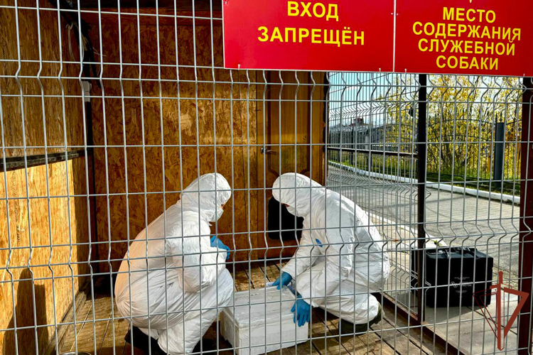 На Ямале росгвардейцы участвовали в  межведомственном учении по ликвидации условного очага бешенства