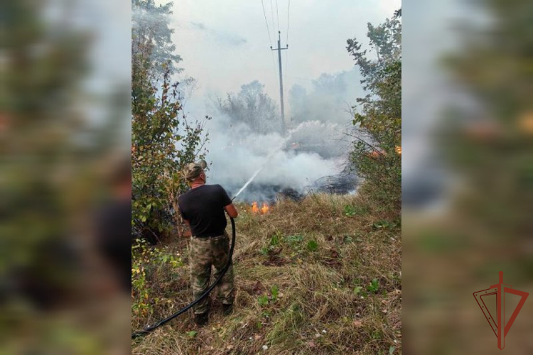 Росгвардейцы, выполняющие задачи в районе СВО, передали гуманитарную помощь пострадавшим от стихийных пожаров жителям ЛНР (видео)