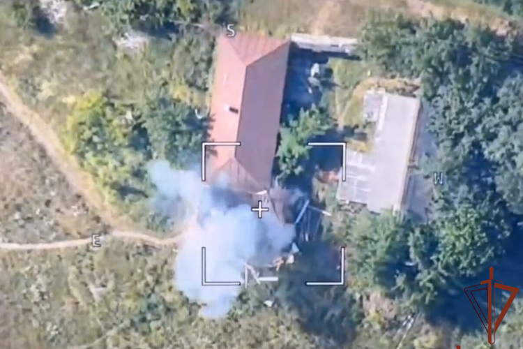 Росгвардейцы уничтожают замаскированные огневые позиции ВСУ с помощью FPV-дронов (видео)