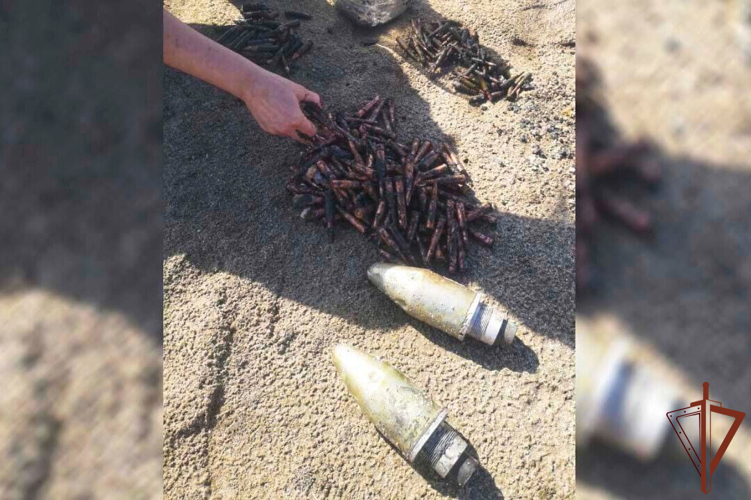 В Херсонской области росгвардейцы обнаружили опасные предметы на берегу озера