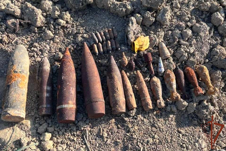Взрывотехики ОМОН Росгвардии в Санкт-Петербурге и Ленинградской области обезвредили более 30 боеприпасов времён войны