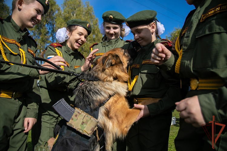 В Нижегородской области состоялся слёт кадетских классов Росгвардии 