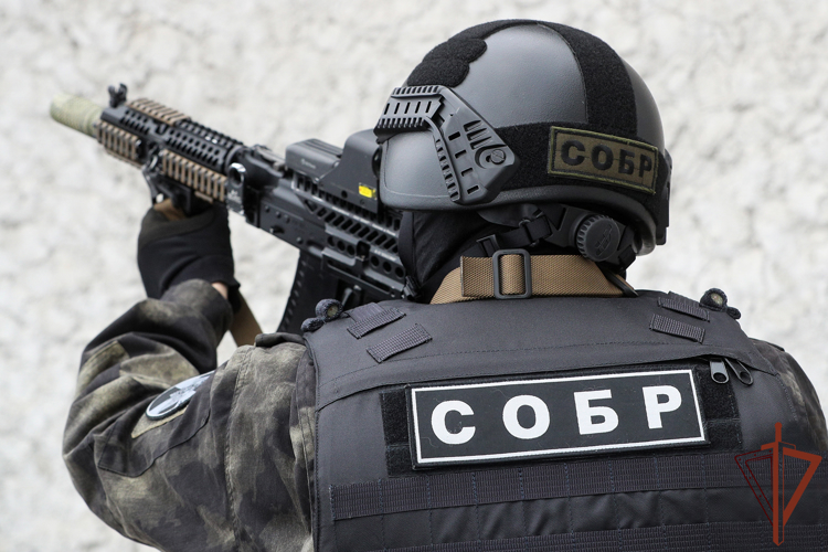 Деятельность нарколаборатории пресекли на Кубани при содействии Росгвардии