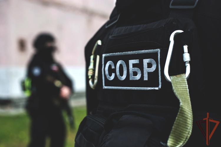  СОБР Росгвардии задержал в Санкт-Петербурге подозреваемых в неправомерном доступе к компьютерной информации