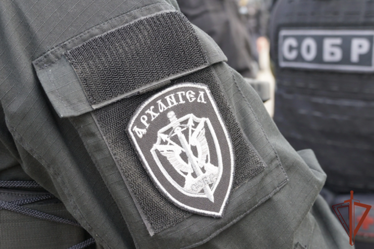 В Архангельской области при силовой поддержке СОБР Росгвардии задержан подозреваемый в совершении дистанционного преступления